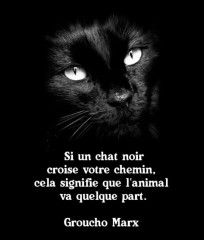 Cabinet psy le bouedec chat noir croyances monde.jpg, janv. 2023