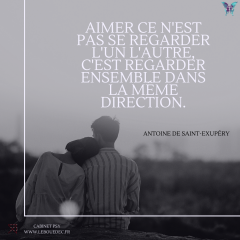 Cabinet psy le bouedec citation amour couple meme direction.png, mai 2021